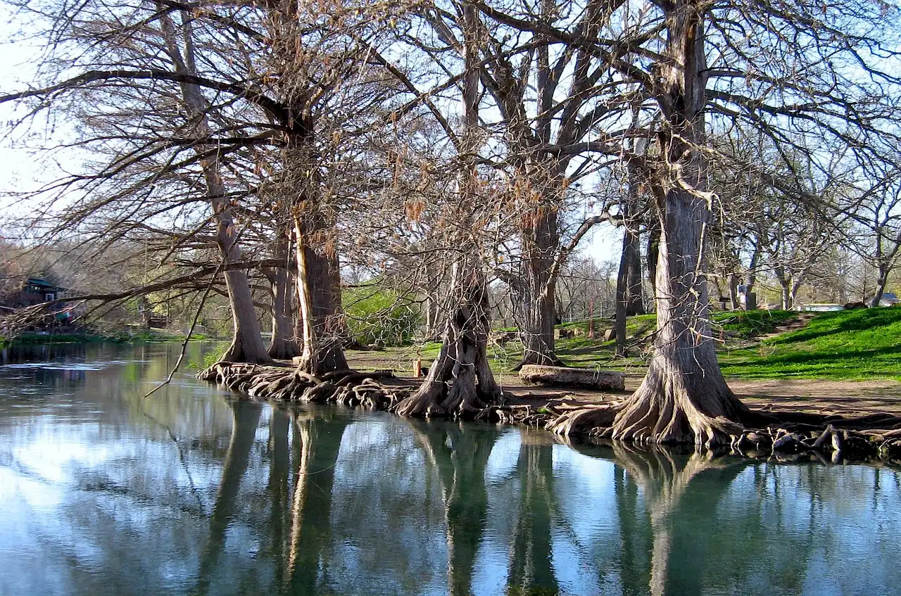 The Blanco River and Blue Hole: Quieter Alternatives Worth Seeking (Image Credits: Pixabay)