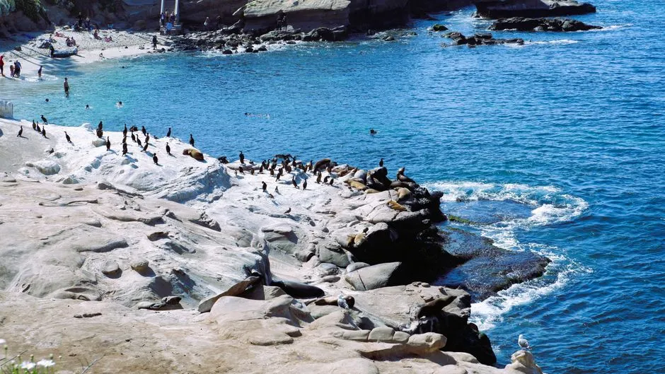 Responsible Cove Etiquette: What the Locals Know (Image Credits: Pexels)