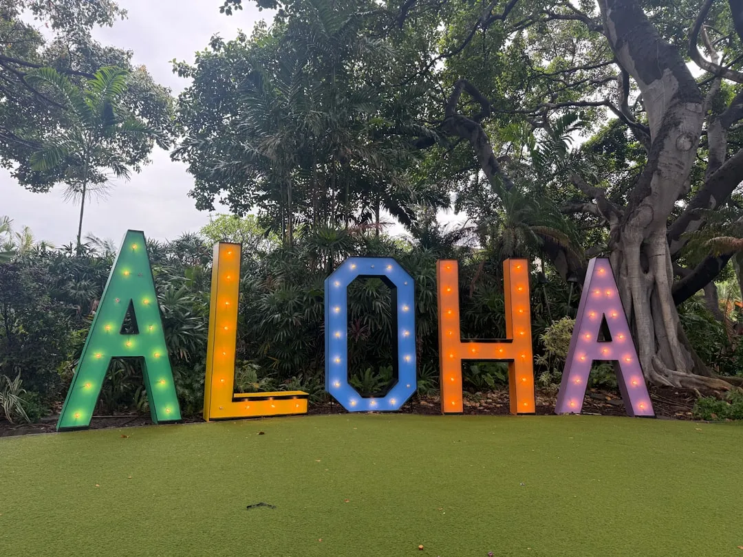 Misreading Aloha as Infinite Tolerance (Image Credits: Unsplash)
