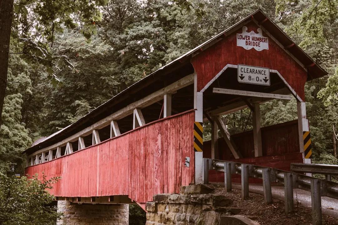 The Engineering Behind the Beauty (Image Credits: Unsplash)