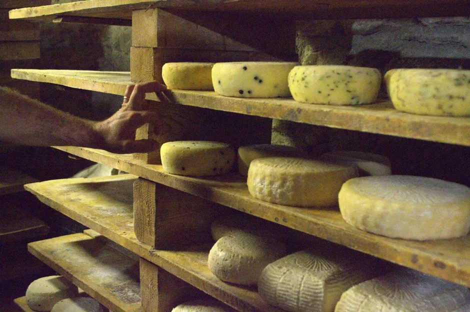 The Vermont Underground: What the Cellars at Jasper Hill Actually Age (Image Credits: Pexels)