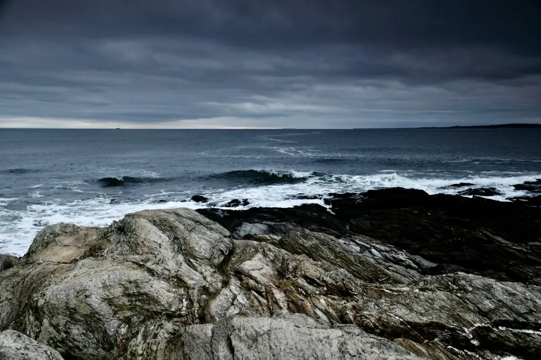 Bermuda Stone and the Wreck That Shaped a Colony (Image Credits: Unsplash)