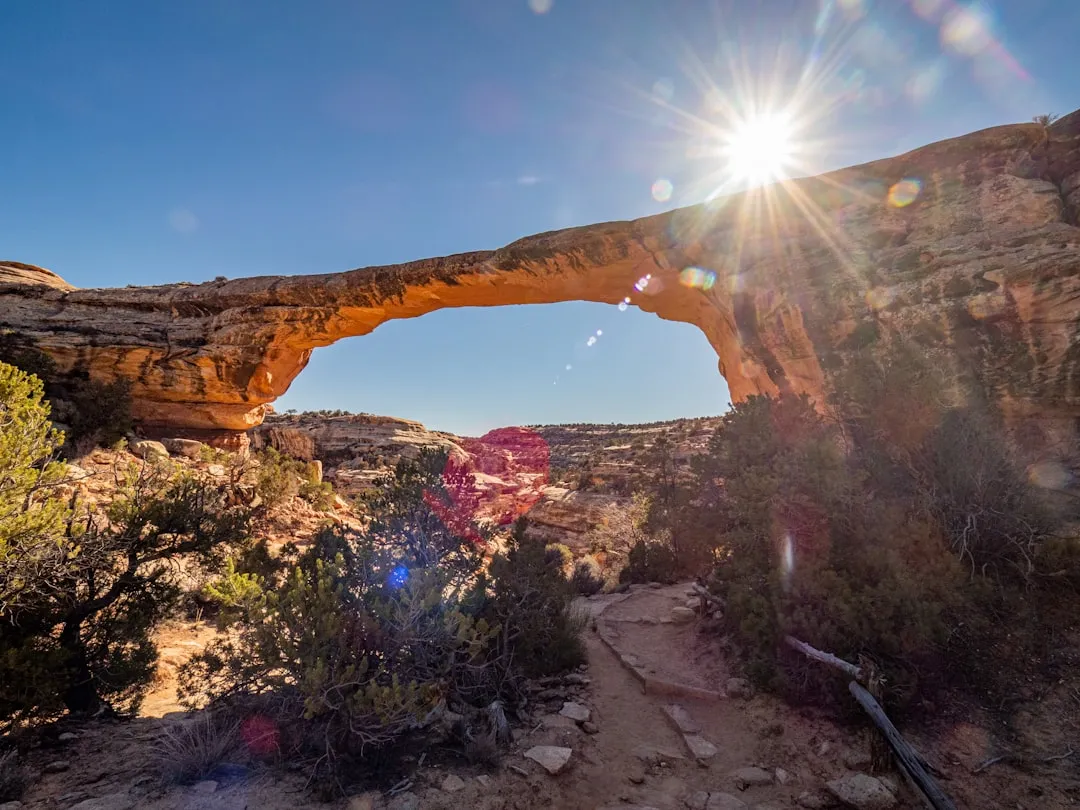 The Natural Bridges Area and Its Camping Options (Image Credits: Unsplash)