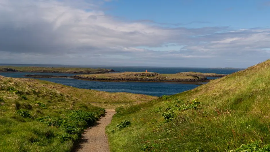 What the Walk Actually Looks Like, Day by Day (Image Credits: Pexels)