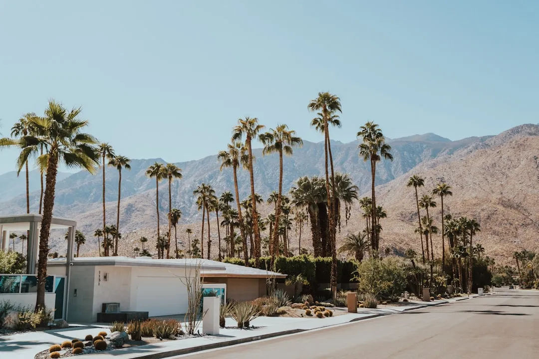 A Legacy That Started with Hollywood (Image Credits: Unsplash)