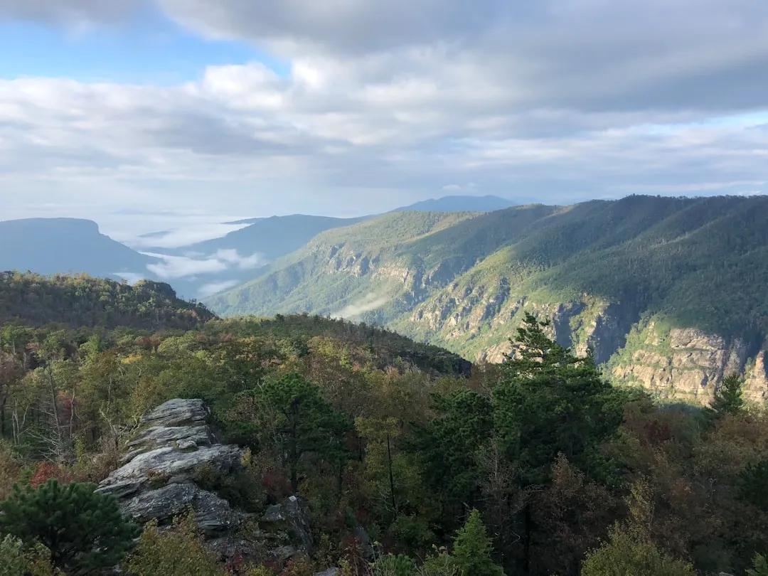 Outdoor Access That Rivals Anything Near Asheville (Image Credits: Unsplash)