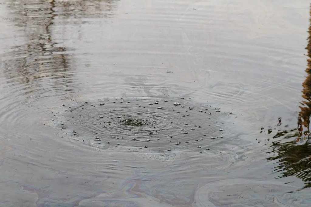 The Climate Science Behind the Beauty (KimonBerlin, Flickr, CC BY-SA 2.0)