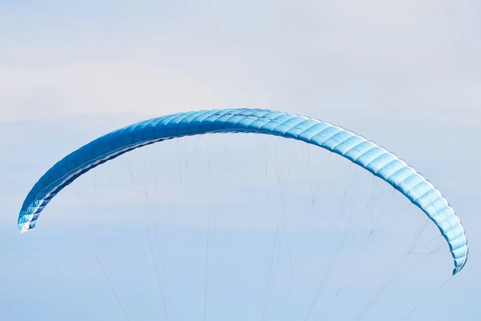 The Gust Factor: What the Numbers Say (Image Credits: Pexels)