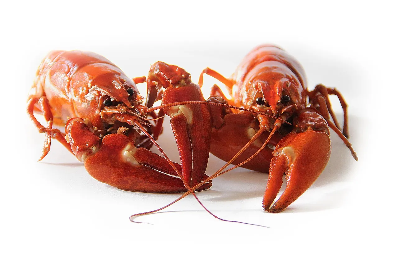 The Crawfish Capital of the World - It's Official (Image Credits: Pixabay)