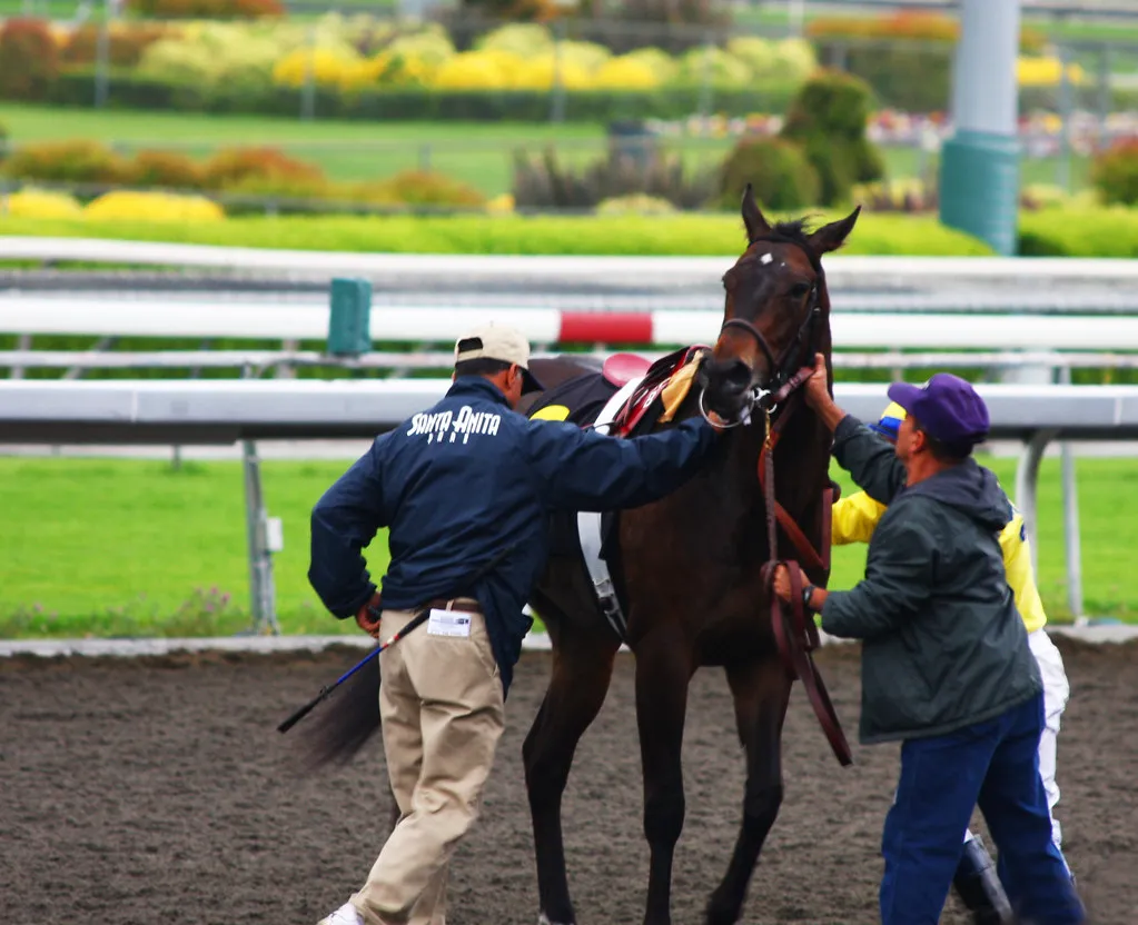 The One Request That Changes Everything: Ask for the Calmest Horse Available (Rennett Stowe, Flickr, CC BY 2.0)