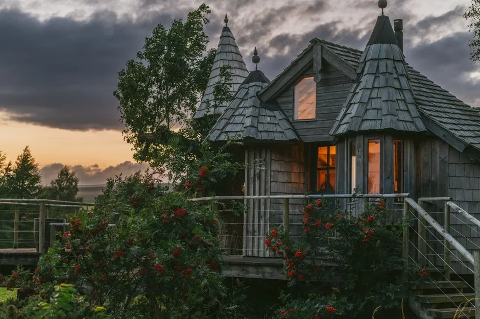 What to Know Before You Book (Image Credits: Pexels)