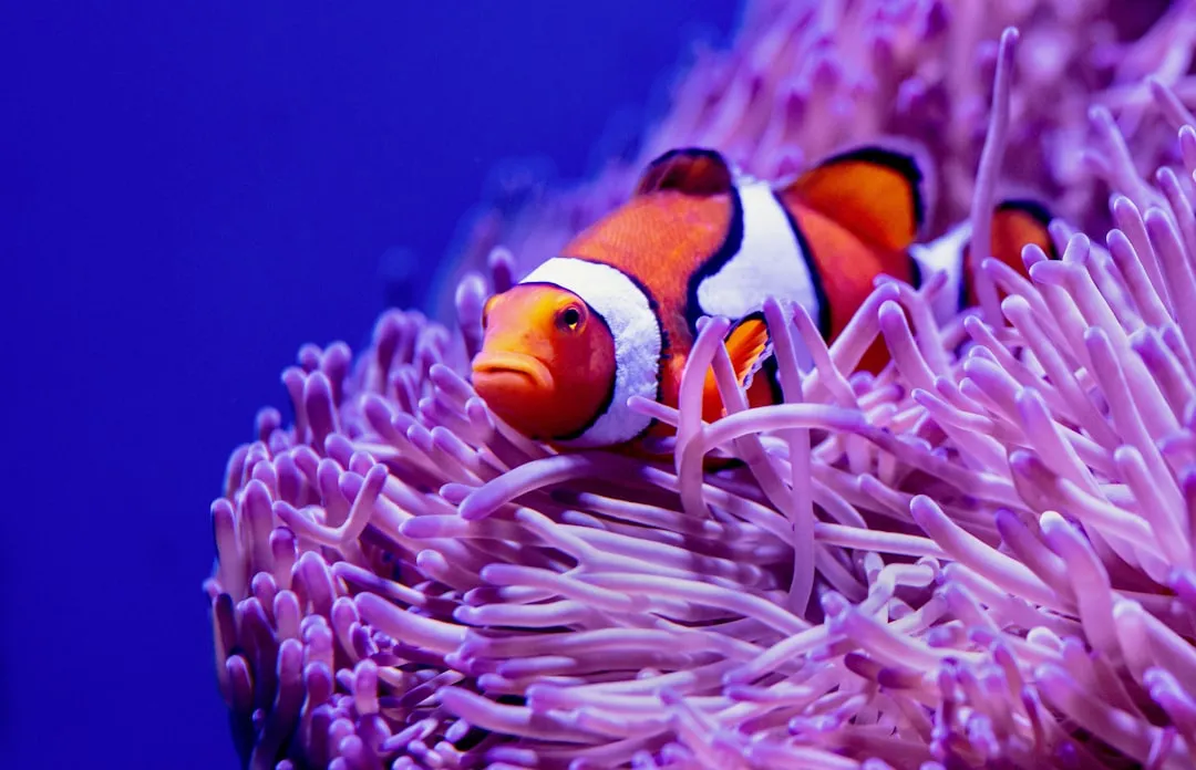How Prey Fish Respond to the Same Clock (Image Credits: Unsplash)