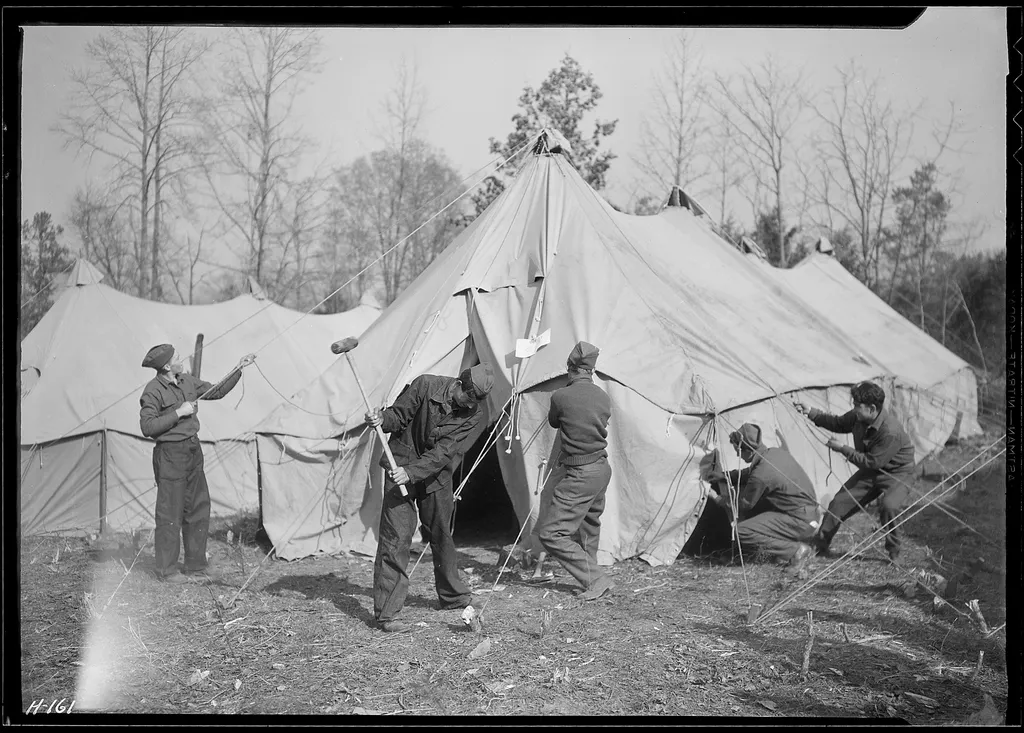 The Civilian Conservation Corps Legacy (Image Credits: Rawpixel)