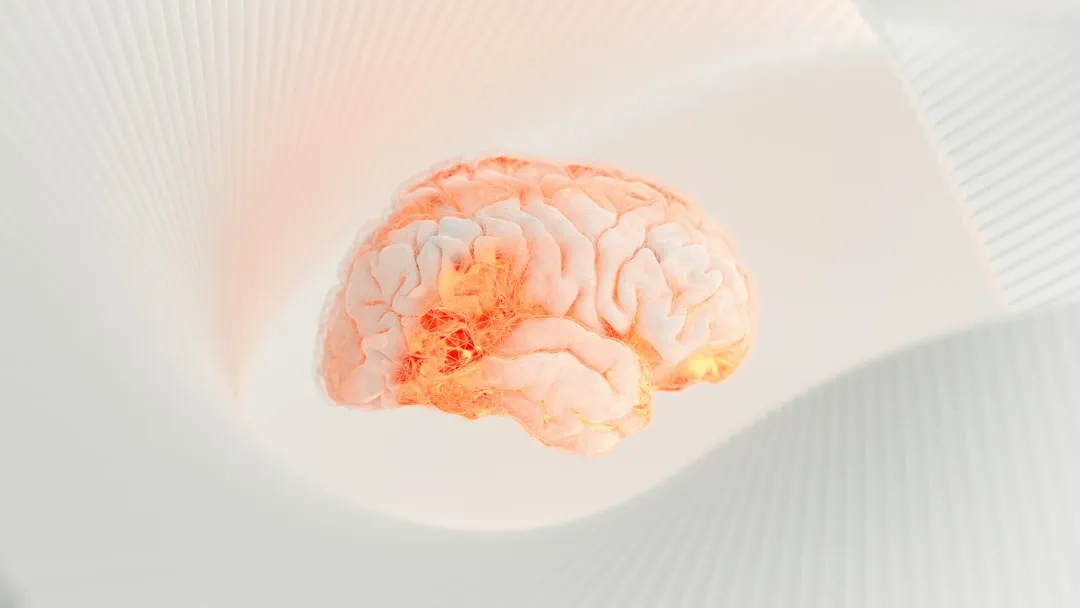 Nostalgia Lights Up Reward Circuits in the Brain (Image Credits: Unsplash)