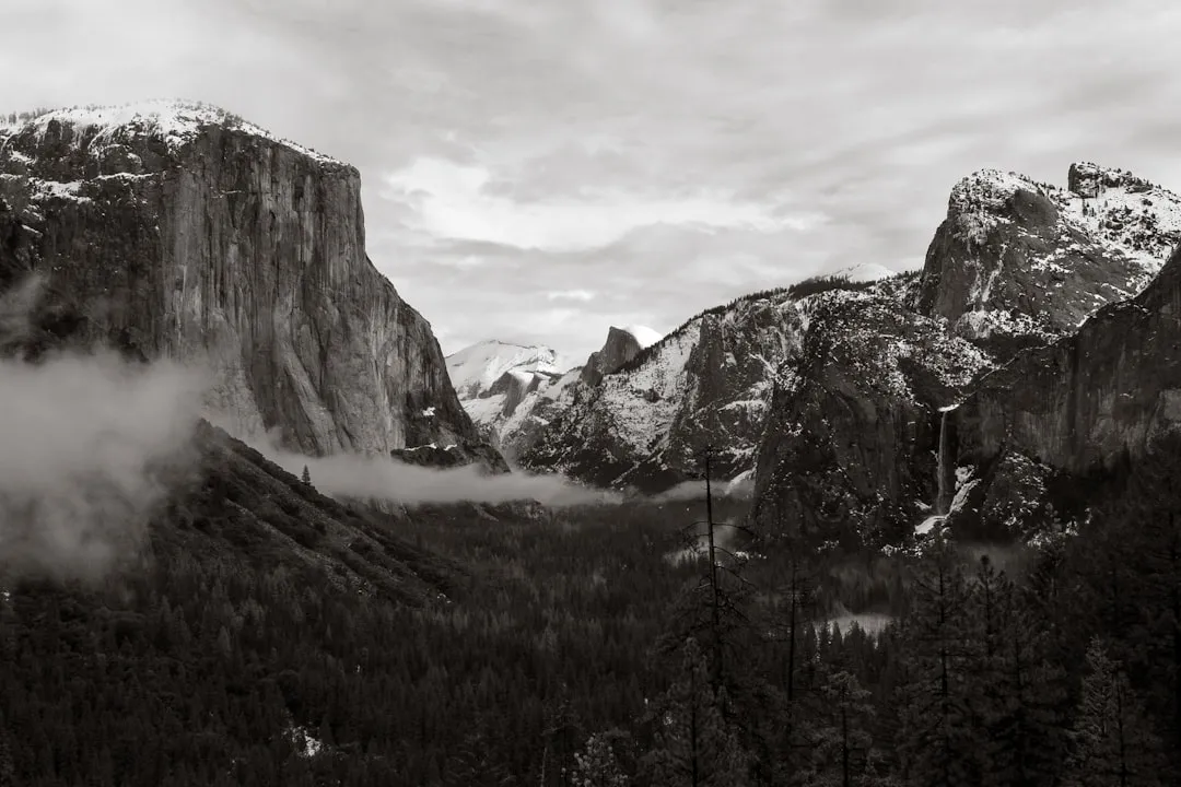 Yosemite's Quiet Arithmetic (Image Credits: Unsplash)