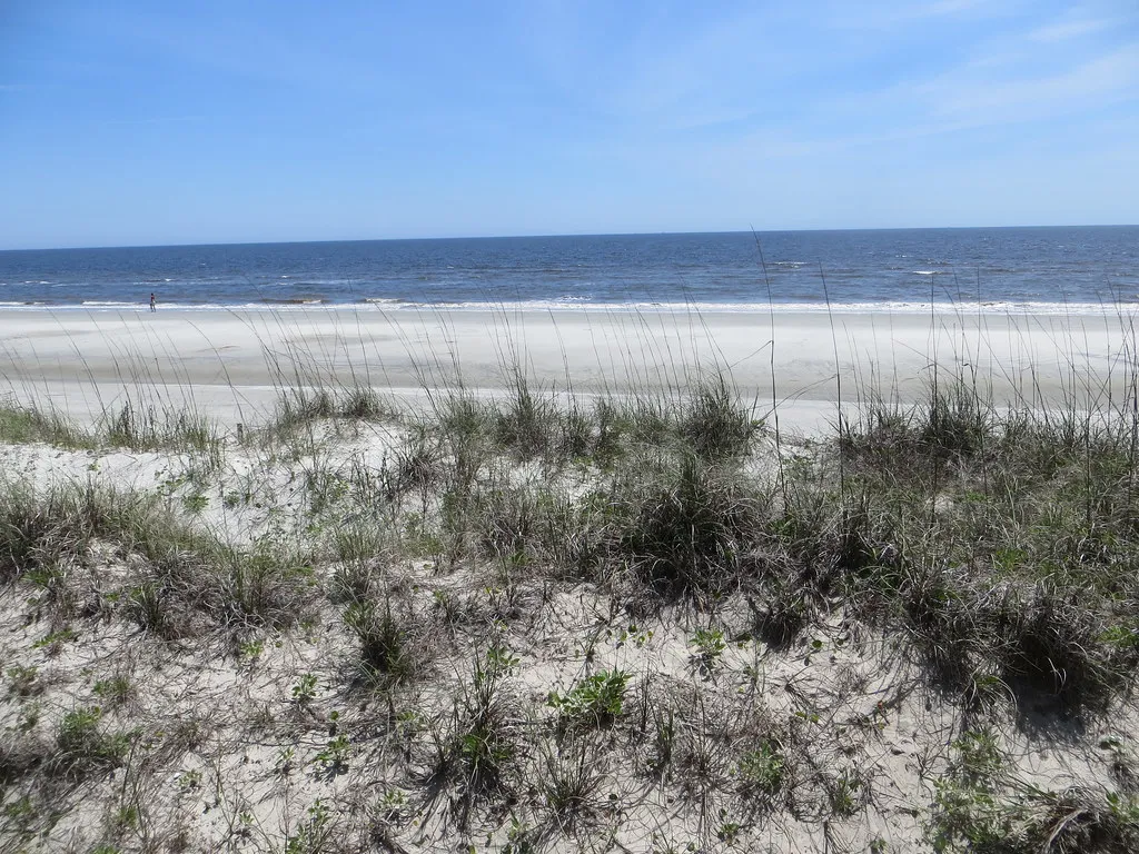 The Coast Georgia's Tourism Boards Rarely Advertise (NatalieMaynor, Flickr, CC BY 2.0)