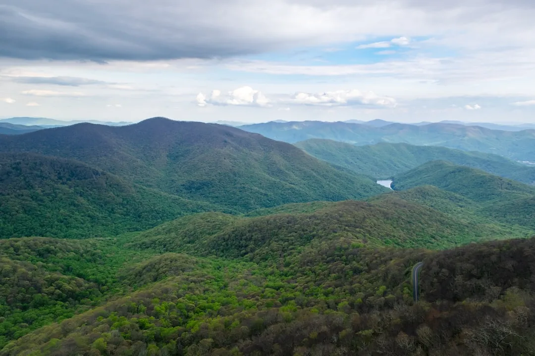 Asheville, North Carolina: The Cultural Mountain Hub (Image Credits: Unsplash)