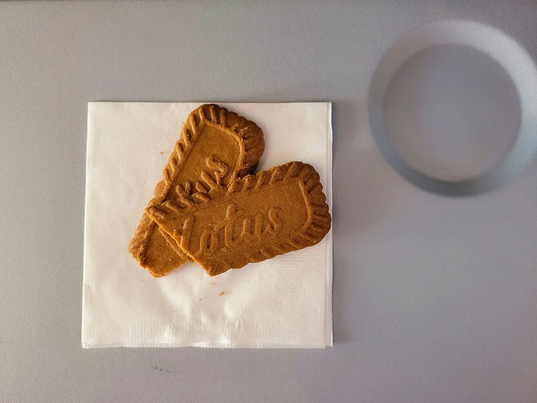 Biscoff: The Unofficial Galley VIP Cookie (Image Credits: Unsplash)
