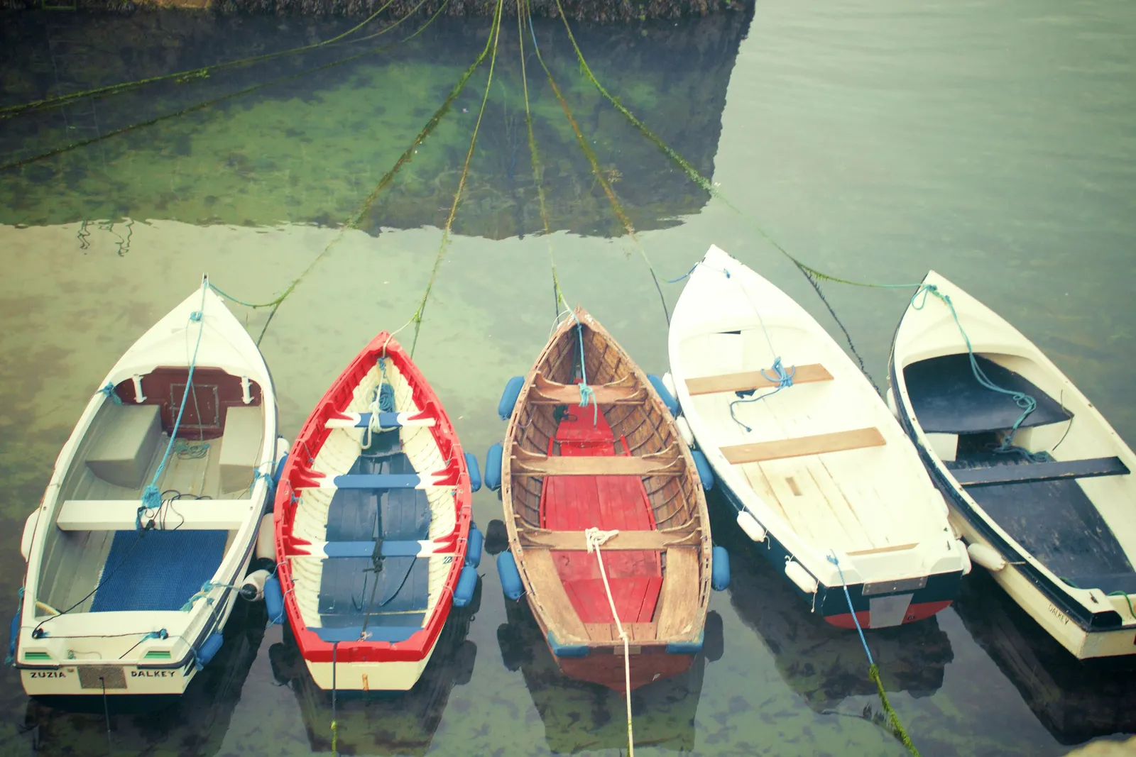 The Social Geometry of a Raft-Up (Image Credits: Pexels)