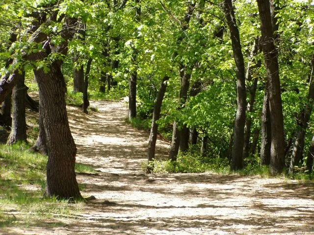 More Than 50 Miles of Trails Through Wildly Different Landscapes (I created this work entirely by myself, CC BY-SA 3.0)