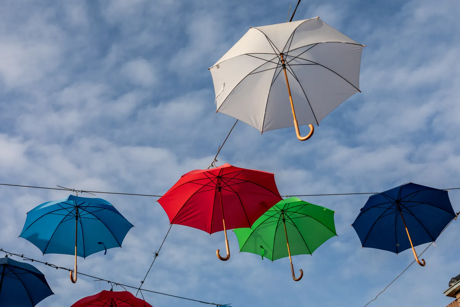 The Umbrella as a Social Signal (By Dietmar Rabich, CC BY-SA 4.0)