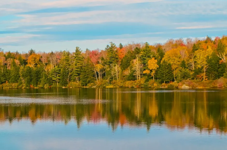 Planning Around a Season That Rewards Patience (Image Credits: Pexels)