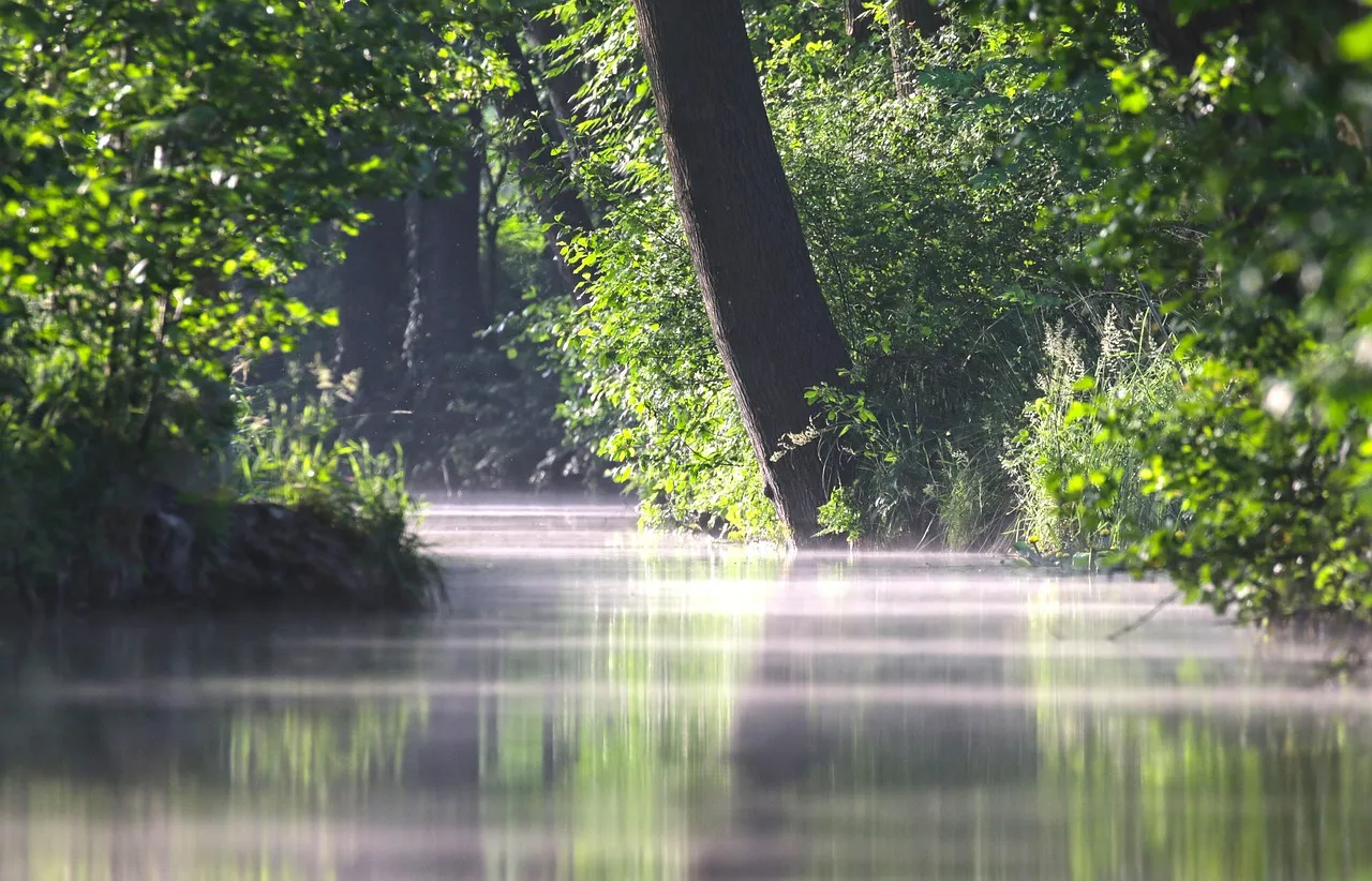 Isle Royale's Scale and Solitude (Image Credits: Pixabay)